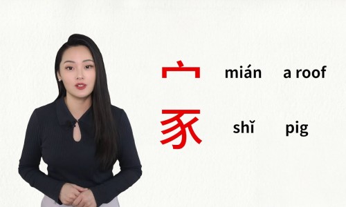 骨髓炎症用药网 - 骨髓炎症怎么治疗,骨髓炎用药指南